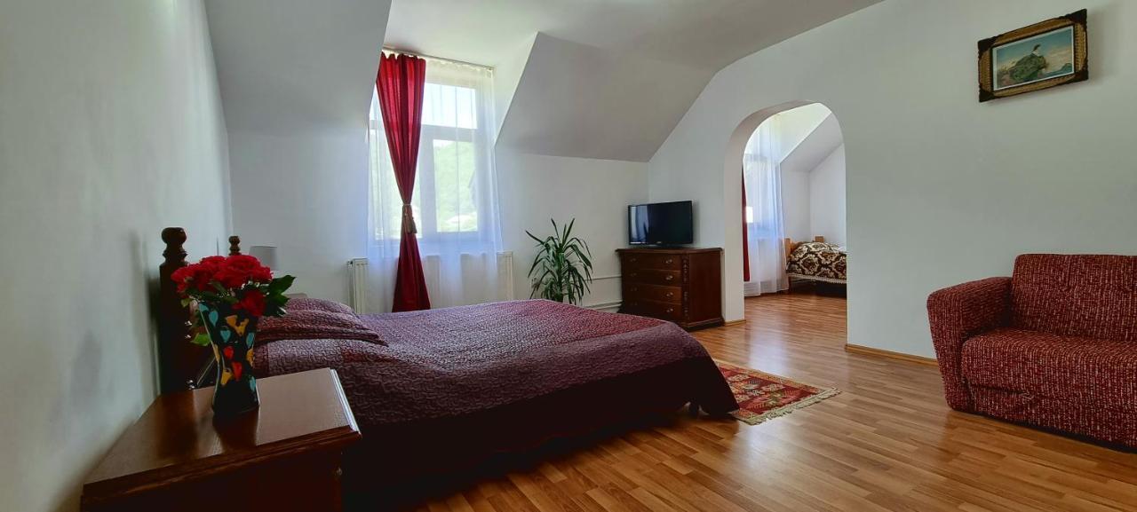Pensiunea Miraj Polovragi Exterior foto