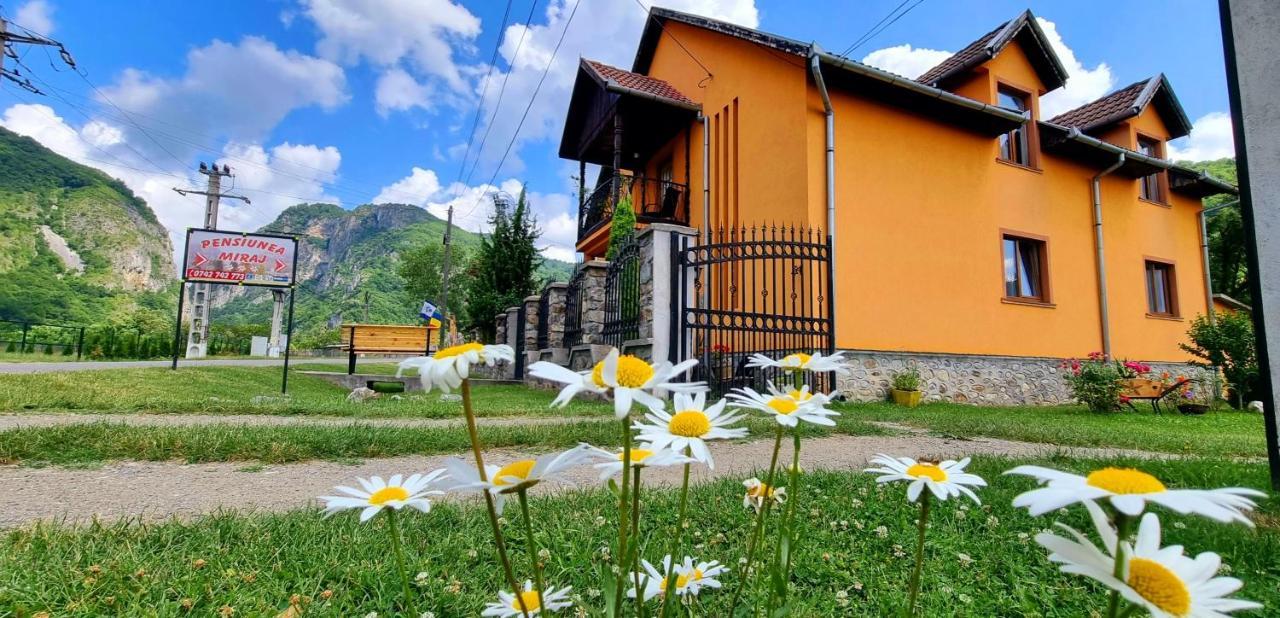 Pensiunea Miraj Polovragi Exterior foto